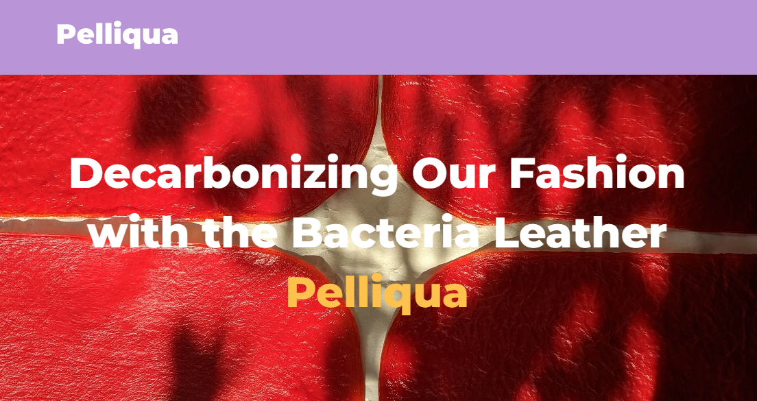 Pelliqua - Bacteria Leather for tomorrow fashion